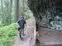 564775 2884369806693 2025911411 n